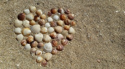 Creative Heart on Beach By Seashell