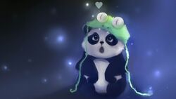 Creative Panda Bokeh