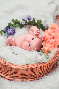 Cute Baby Boy in Basket