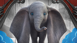 Cute Baby Elephant CloseUp 4K
