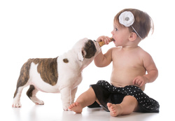 Cute Baby Girl With Doggy