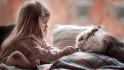 Cute Girl Playing With Rabbit