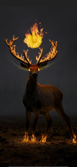 Deer in Fire