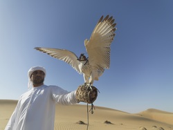 Eagle on Arab Man Hand
