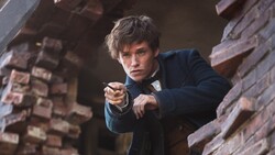 Eddie Redmayne in Fantastic Beasts And Where to Find Them Movie