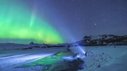 Flora Light in Snow