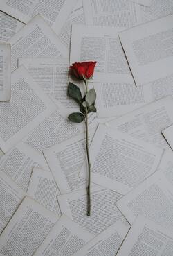 Flower on Books Page