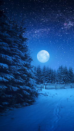 Full Moon Night in Winter Season Wallpaper