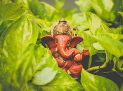 Ganesh God Statue in Plant