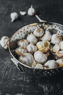 Garlic in Basket Photo