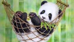 Giant Panda Enjoy in Swing