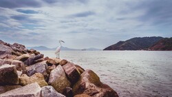 Heron on Rocks Near Sea