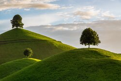 Hill Tree Drumlin Landscape