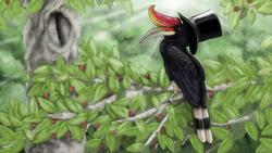 Hornbill Painting HD Image