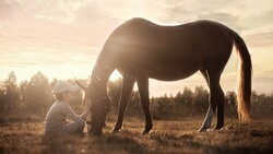 Horse with Baby Boy