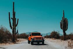 Hummer Car on Road With Big Cactus im Side