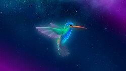 Hummingbird Art Image