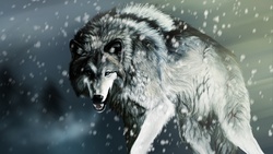 Hunter Wolf in Snow Rain