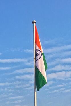 Indian Flag Pic