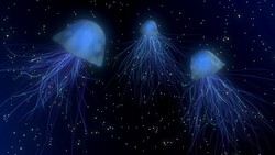 Jellyfish Abstract Wallpaper