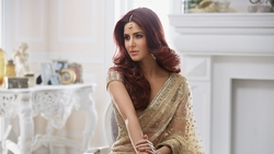 Katrina Kaif in Saree Wallpaper