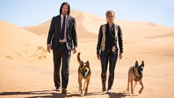 Keanu Reeves And Halle Berry in John Wick 3 Movie