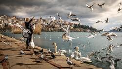 Lady Feeding Ducks Birds on Lake