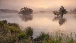 Lake in Forest with Foggy Weather Photo