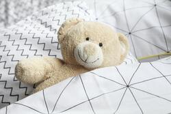 Light Brown Bear Plush Toy