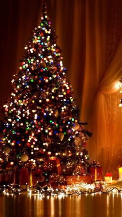 Lighting Christmas Tree Photo