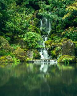 Lovely Waterfall and Nature Photo