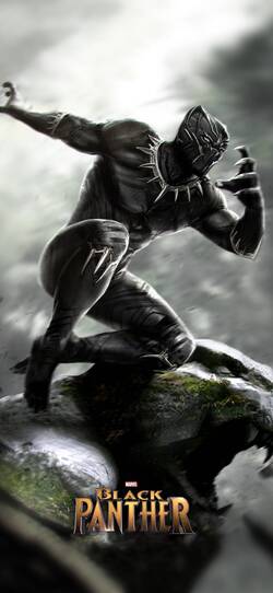 Marvel Black Panther Image