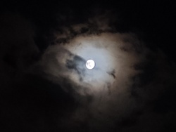 Moon in Night Pic