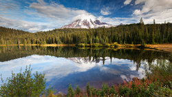 Mount Rainier National Park in Washington State