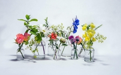 Multiple Colours of Flowers in Glass Jars