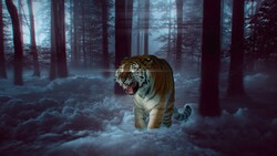 Mystic Tiger Wallpaper