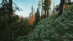 Nature HD Images