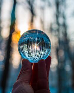Nature View in Glass Ball Creative Photo