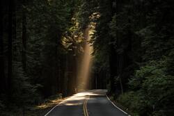 Nature View on Road Side