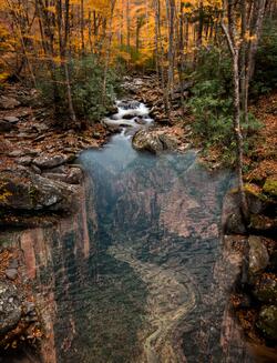 Nature Water Reflection Pic