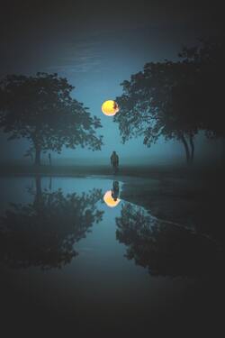 Night Moon View Nature Pic