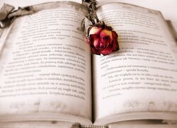 Old Book With Old Rose