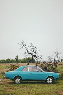 Old Car Parked on Grass Lawn in Countryside