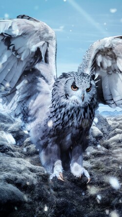 Owl in Mountain Snow