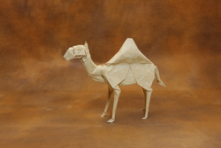 Paper Made Camel