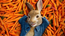 Peter Rabbit Lying On Bunch of Carrots