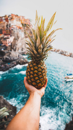 Pineapple in Hand