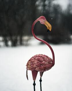 Pink Flamingo Bird Figurine in Snowy Area
