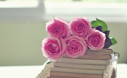 Pink Roses on Books Stack