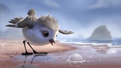 Piper Cartoon Bird Movie